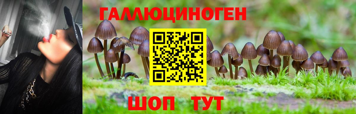 Псилоцибиновые грибы Psilocybine cubensis  Вход с VPN  Пушкино  Псилоцибиновые грибы мицелий 